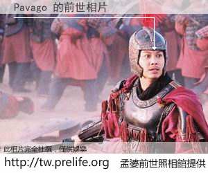 Pavago 的前世相片