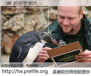 QM 的前世相片