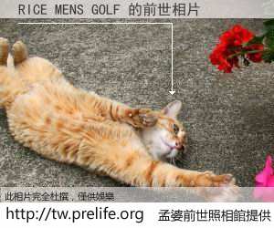 RICE MENS GOLF 的前世相片