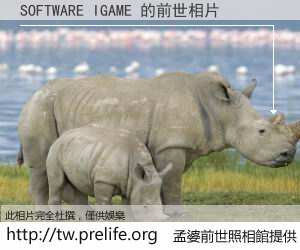 SOFTWARE IGAME 的前世相片
