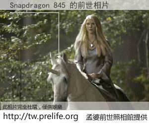 Snapdragon 845 的前世相片