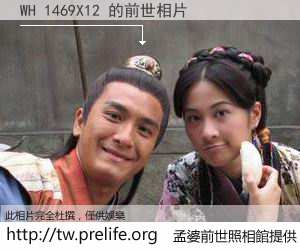 WH 1469X12 的前世相片