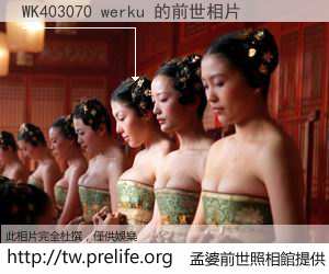 WK403070 werku 的前世相片