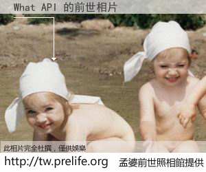 What API 的前世相片