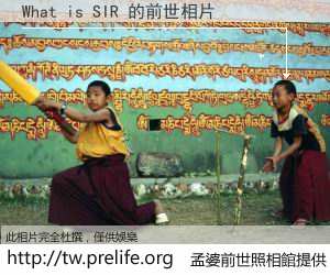 What is SIR 的前世相片
