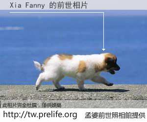 Xia Fanny 的前世相片