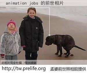 animation jobs 的前世相片
