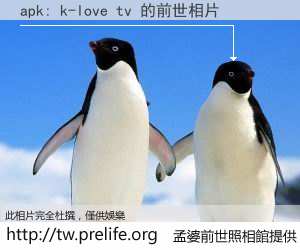 apk: k-love tv 的前世相片