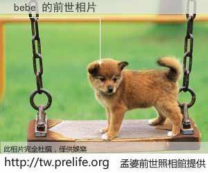 bebe 的前世相片