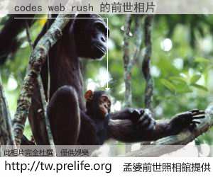 codes web rush 的前世相片