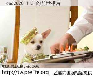 cad2020 1.3 的前世相片