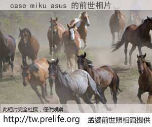 case miku asus 的前世相片