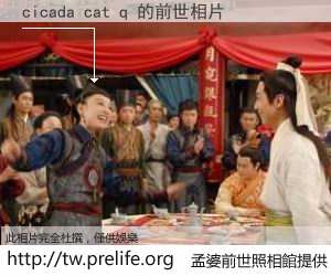cicada cat q 的前世相片