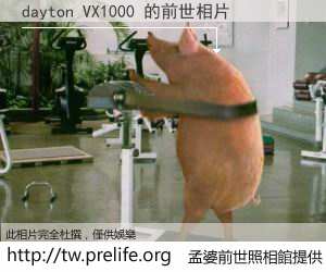 dayton VX1000 的前世相片