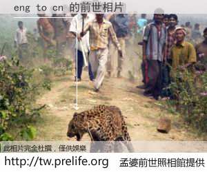 eng to cn 的前世相片