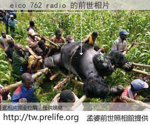 eico 762 radio 的前世相片