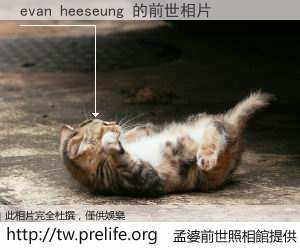 evan heeseung 的前世相片