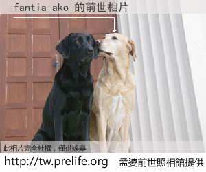 fantia ako 的前世相片