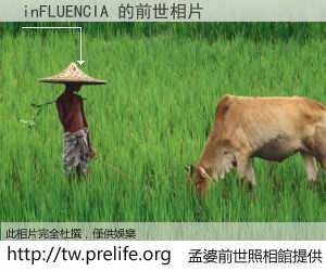 inFLUENCIA 的前世相片