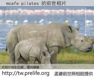 mcafe pilates 的前世相片