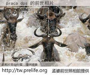 praca dps 的前世相片