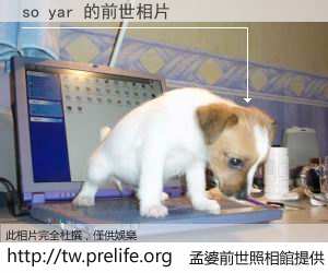 so yar 的前世相片