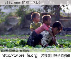 sliv.one 的前世相片