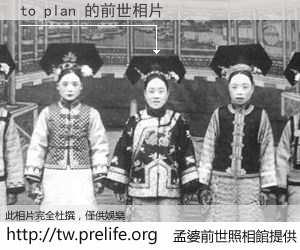 to plan 的前世相片