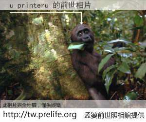 u printeru 的前世相片