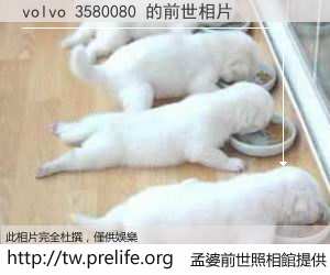 volvo 3580080 的前世相片