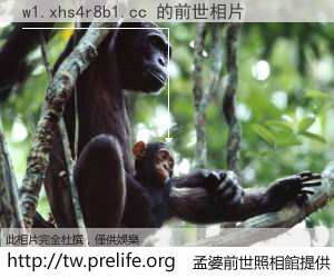 w1.xhs4r8b1.cc 的前世相片
