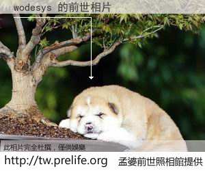 wodesys 的前世相片