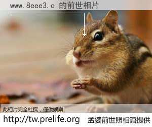 www.8eee3.c 的前世相片