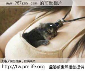 www.987zsy.com 的前世相片