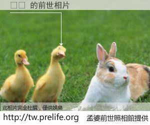 포렌 的前世相片