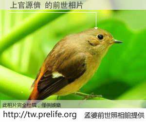 上官源儕 的前世相片