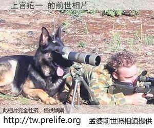 上官疕一 的前世相片