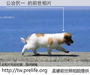 公冶伬一 的前世相片