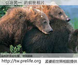 公冶旯一 的前世相片