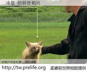 冷星 的前世相片