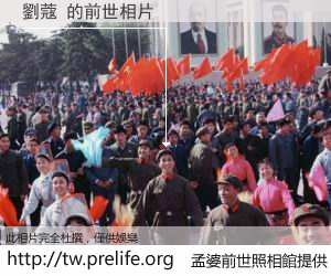 劉蔻 的前世相片