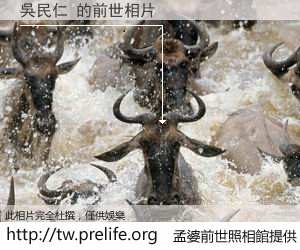 吳民仁 的前世相片