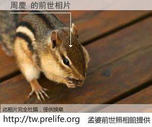 周慶 的前世相片
