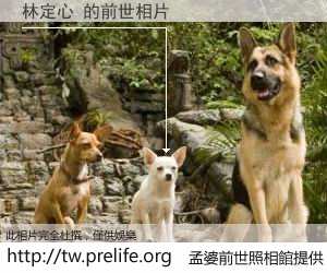 林定心 的前世相片