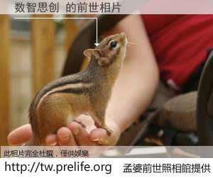 数智思创 的前世相片