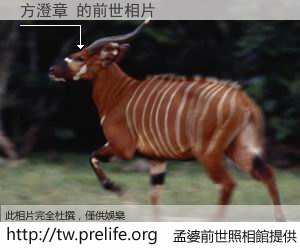 方澄章 的前世相片