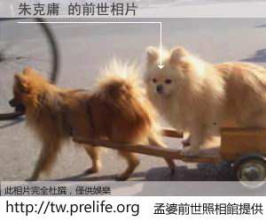 朱克庸 的前世相片