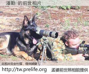 潘勤 的前世相片