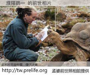 濮陽鸐一 的前世相片