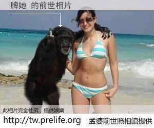 牌她 的前世相片